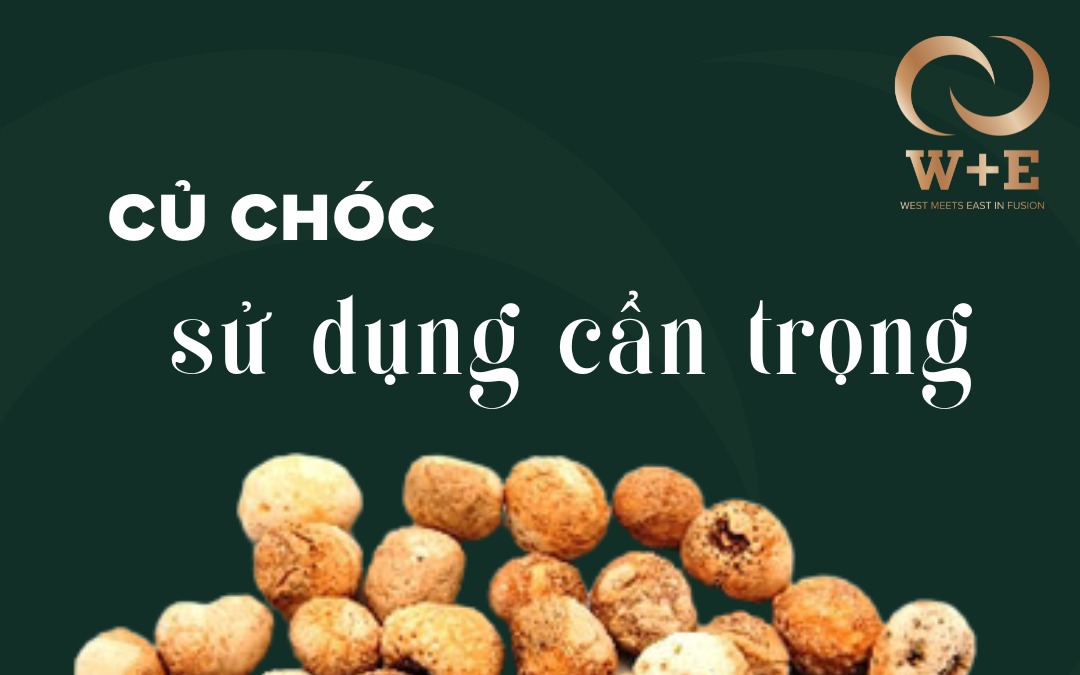 Củ Chóc (Bán hạ nam): Thuốc trị nôn cho phụ nữ có thai